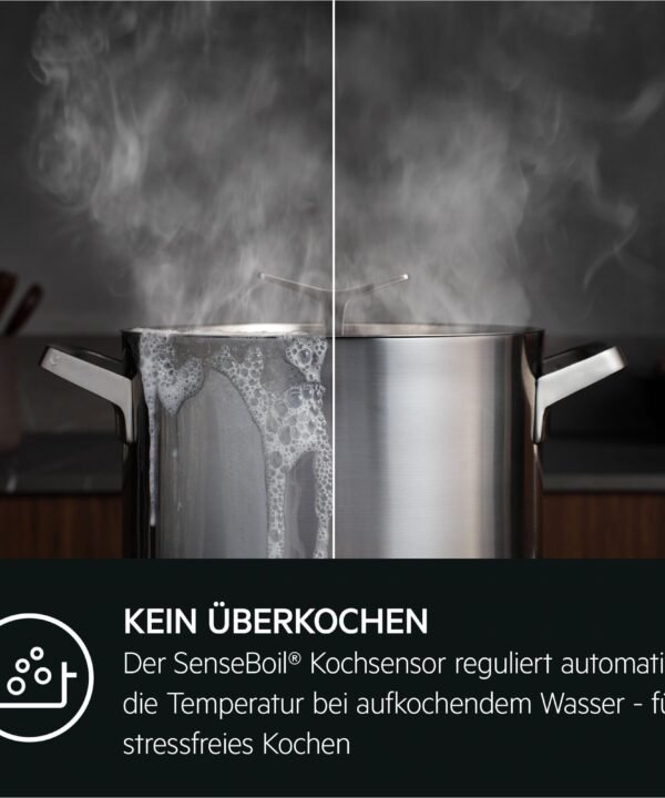 AEG Backofen-Set HH24BSISML, mit 1-fach-Teleskopauszug, Aqua Clean, SaphirMatt®-Induktionskochfeld-Kratzresistente Oberfläche, Pizzastufe - Image 15