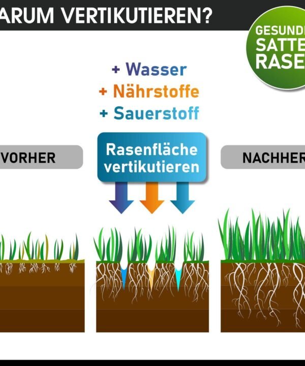 BRAST Elektro-Vertikutierer / Lüfter 2000 Watt Kombi Gerät, 40,00 cm Arbeitsbreite, (2in1-Funktion, 1 Vertikutier- und 1 Lüfter-Walze), Moosentferner - Image 7