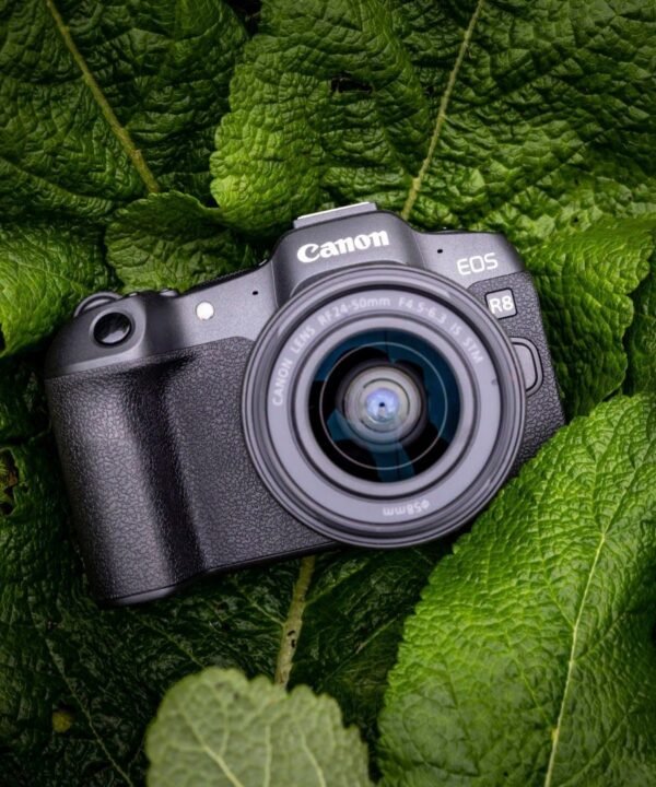 Canon EOS R8 + RF 24-50mm F4.5-6.3 IS STM Kit Systemkamera (RF 24-50mm F4.5-6.3 IS STM, 24,2 MP, Bluetooth, WLAN, verfügbar ab 17.04.23), DSLM-Kamera, DSLM - Image 12
