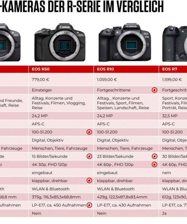 Canon EOS R8 + RF 24-50mm F4.5-6.3 IS STM Kit Systemkamera (RF 24-50mm F4.5-6.3 IS STM, 24,2 MP, Bluetooth, WLAN, verfügbar ab 17.04.23), DSLM-Kamera, DSLM - Image 10